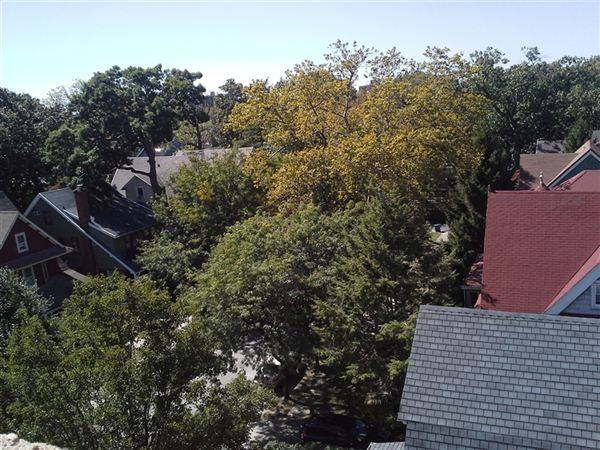 Midwood Park - Photo 2 of 8