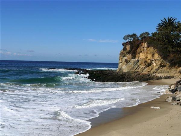 170 McAulay Pl - Photo 2 of 15