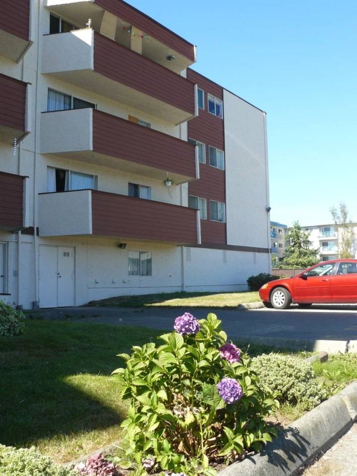 Wild Rose Apartments 2541 Dingwall St, Duncan, BC V9L 2Y8 Zumper