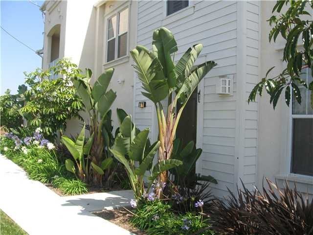 855 Harbor Cliff Way #309 - Photo 3 of 17