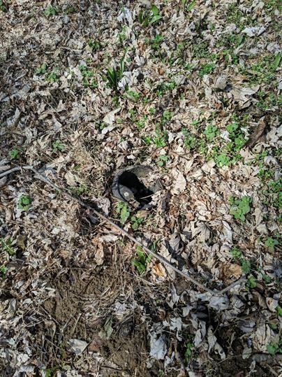 8708 E Saint John Ave - Photo 3 of 3