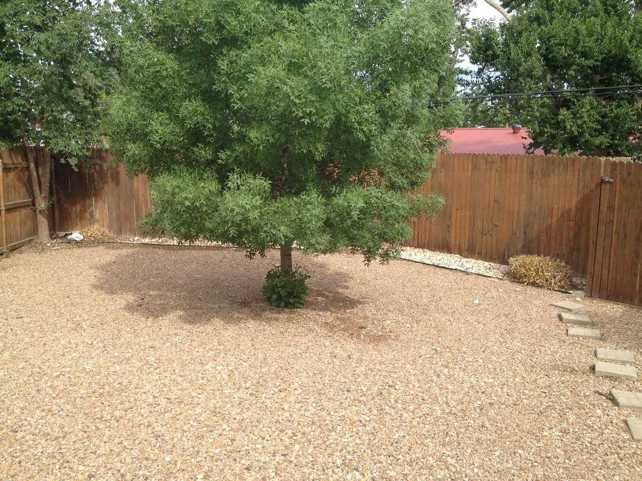 3022 Alhambra Dr - Photo 3 of 7