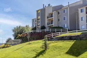 featured image of 260 Rim View Dr