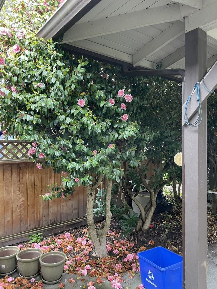 6191 Taseko Crescent - Photo 3 of 23