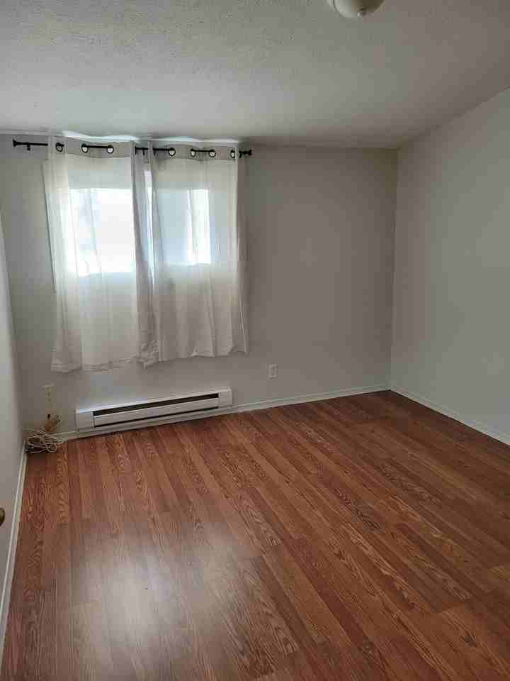 4 Cabot St #B - Photo 3 of 14