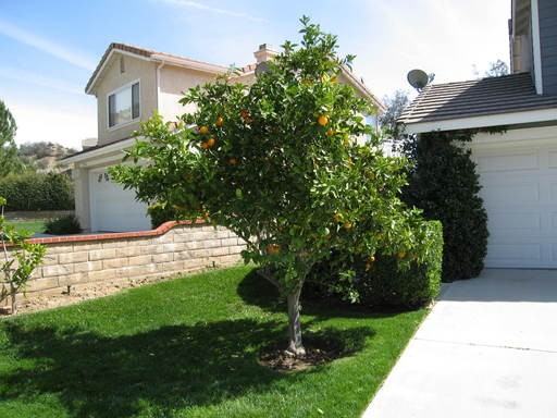 27734 Glacier Pl - Photo 3 of 24