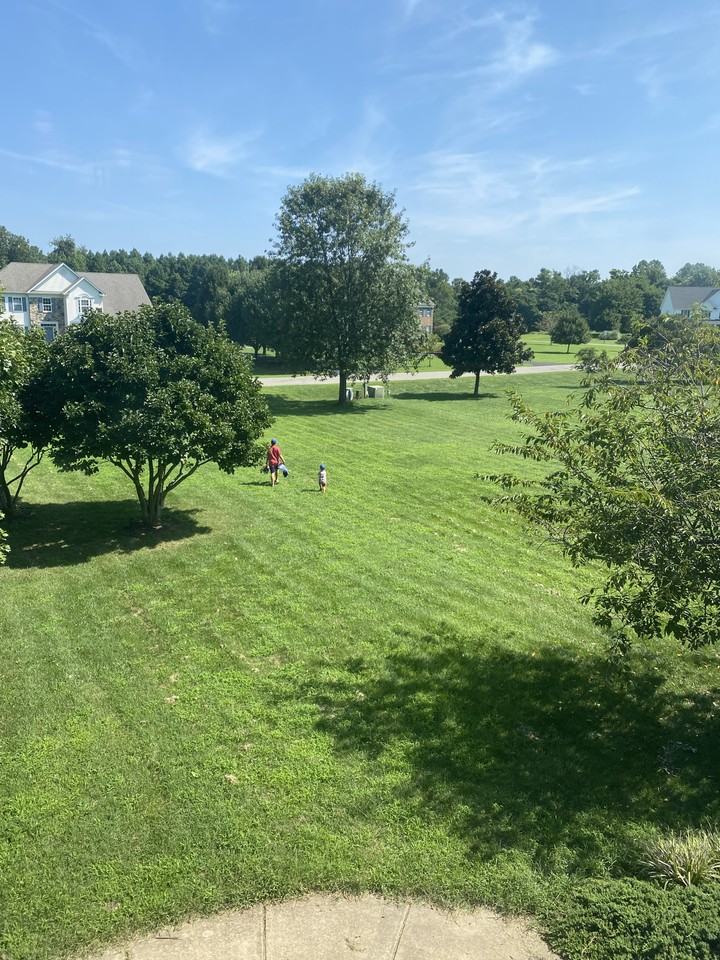 46195 N Greens Rest Dr #NA - Photo 3 of 20