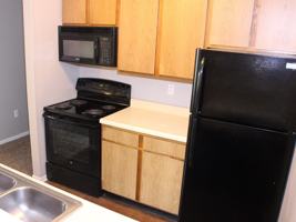 featured image of 559 Ovo Dr