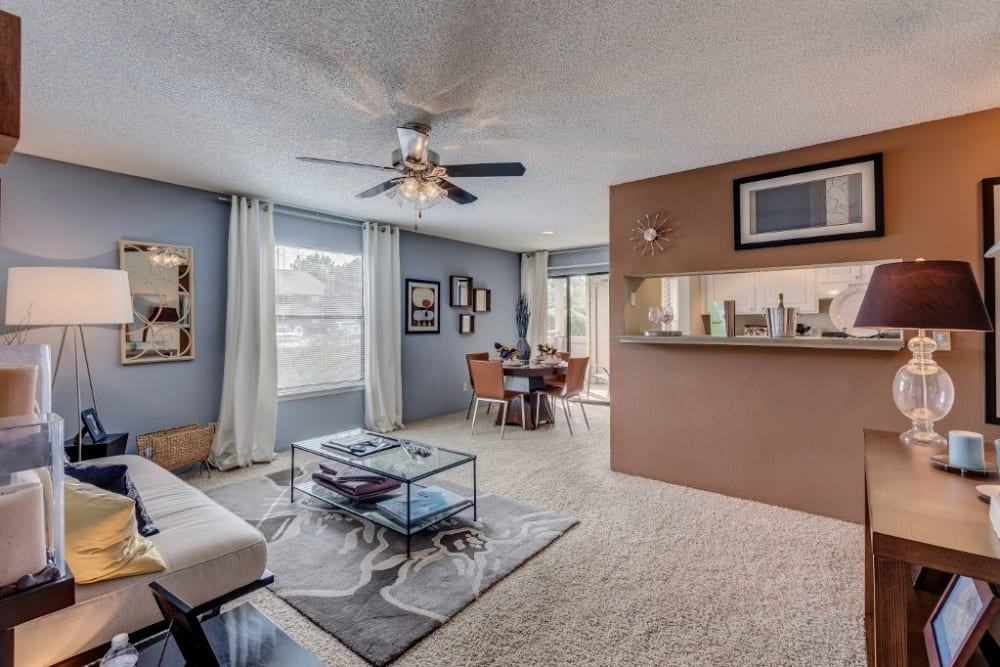 Skyline - Photo 6 of 21