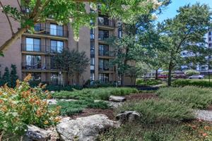 featured image of 250 South Whiting Street