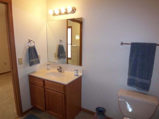 Water Tower Place - Photo 3 of 6