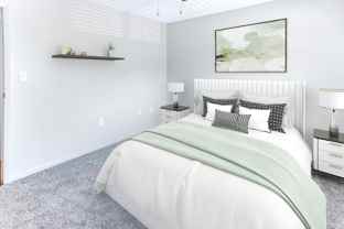 The Flats On Hampstead - Photo 1 of 1