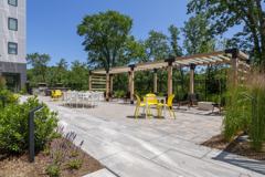 The Aeronaut - Photo 1 of 1