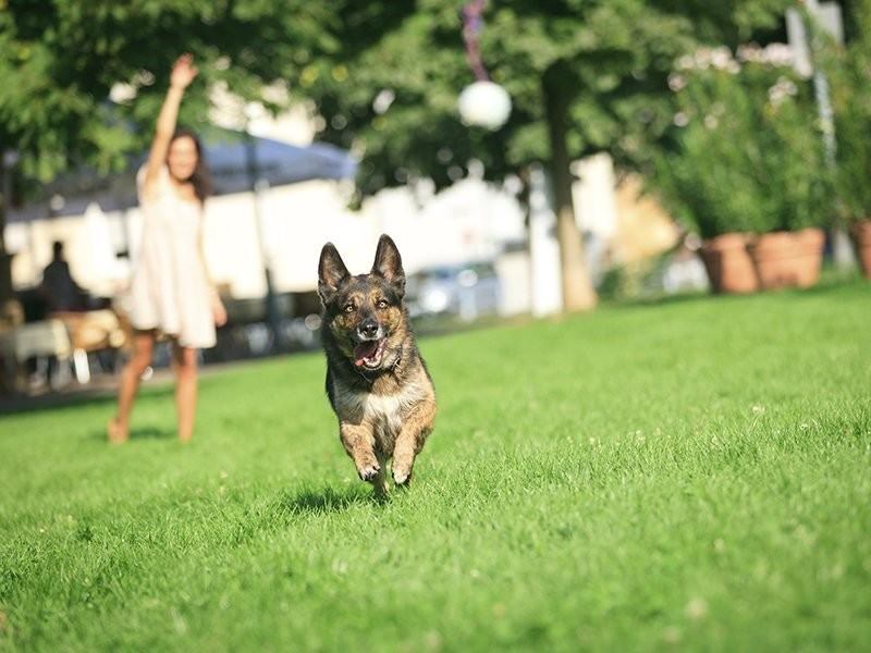 27Nine Flats - Photo 5 of 6