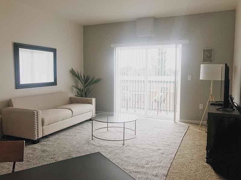 Village on Main Street - Photo 5 of 15