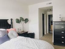 Village on Main Street - Photo 1 of 1