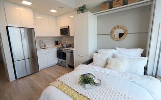 featured image of 217 Albany St