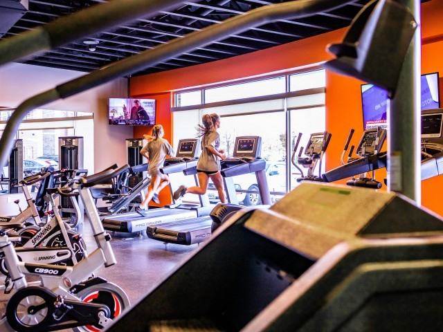 Bear Village - Photo 6 of 31