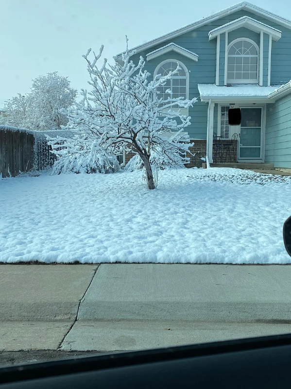 5358 Spruce Ave - Photo 3 of 25