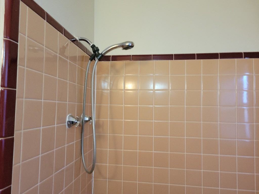 227 Carroll Ave #1 - Photo 4 of 8