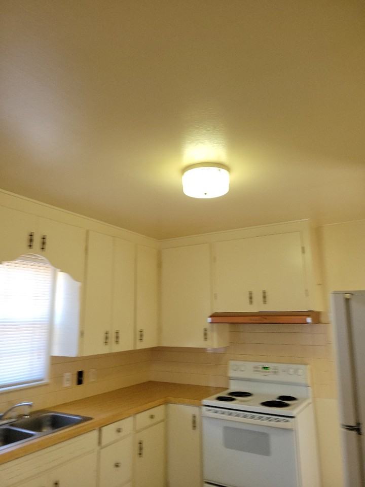 227 Carroll Ave #1 - Photo 5 of 8