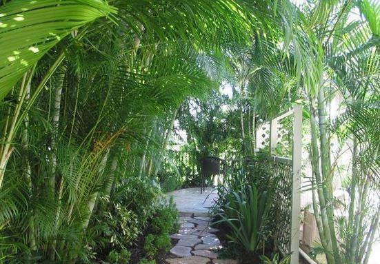 536 Les Jardin Dr - Photo 3 of 6