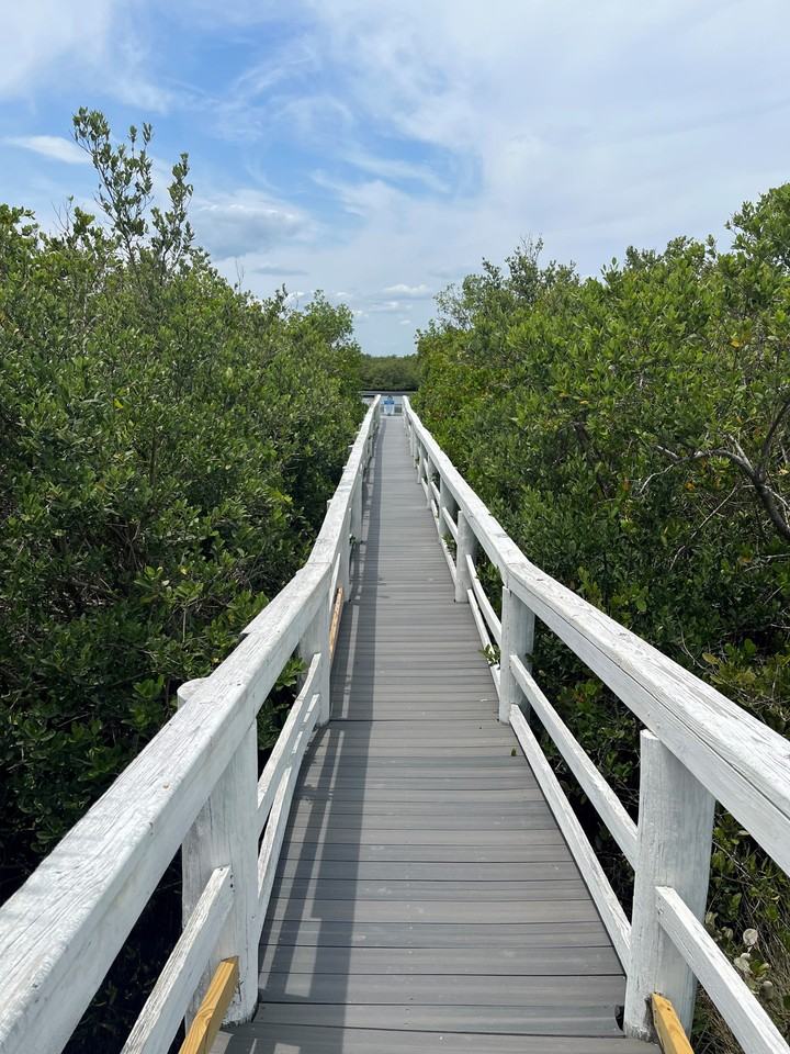 4860 S Atlantic Ave #104 - Photo 5 of 31