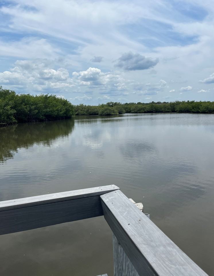 4860 S Atlantic Ave #104 - Photo 6 of 31