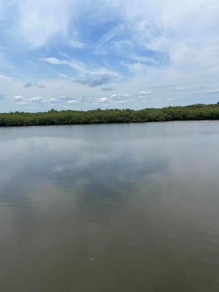 4860 S Atlantic Ave #104 - Photo 7 of 31