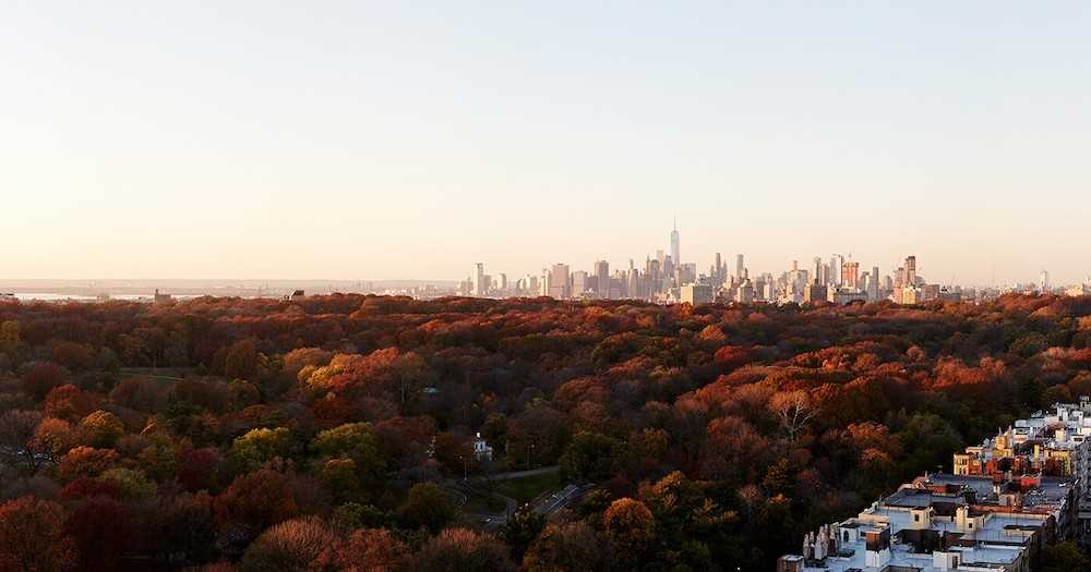 The Parkline - Photo 4 of 50