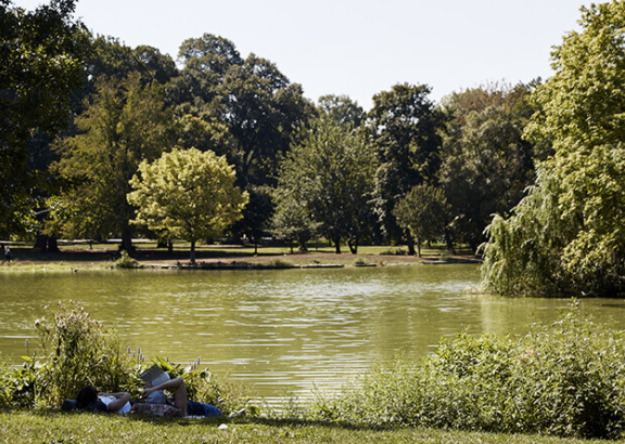 The Parkline - Photo 5 of 50