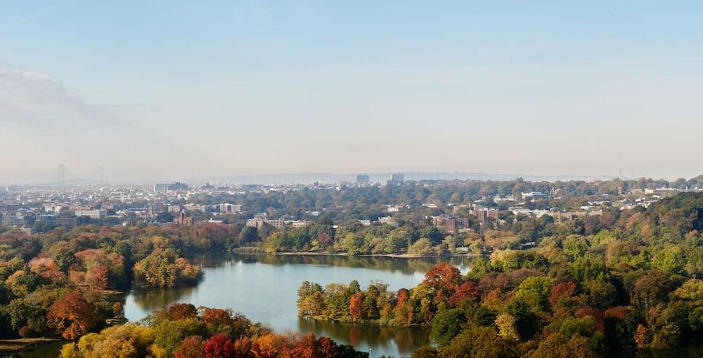 The Parkline - Photo 7 of 50