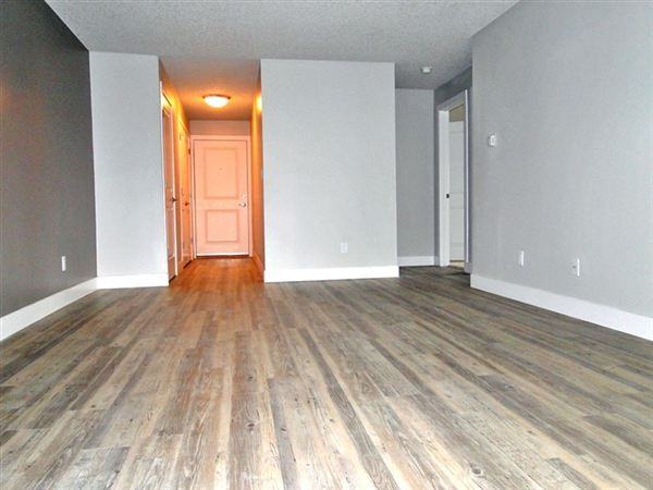 Four Mile Flats - Photo 2 of 10