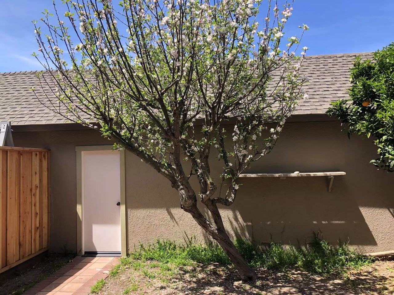 1497 Marlin Avenue - Photo 3 of 13