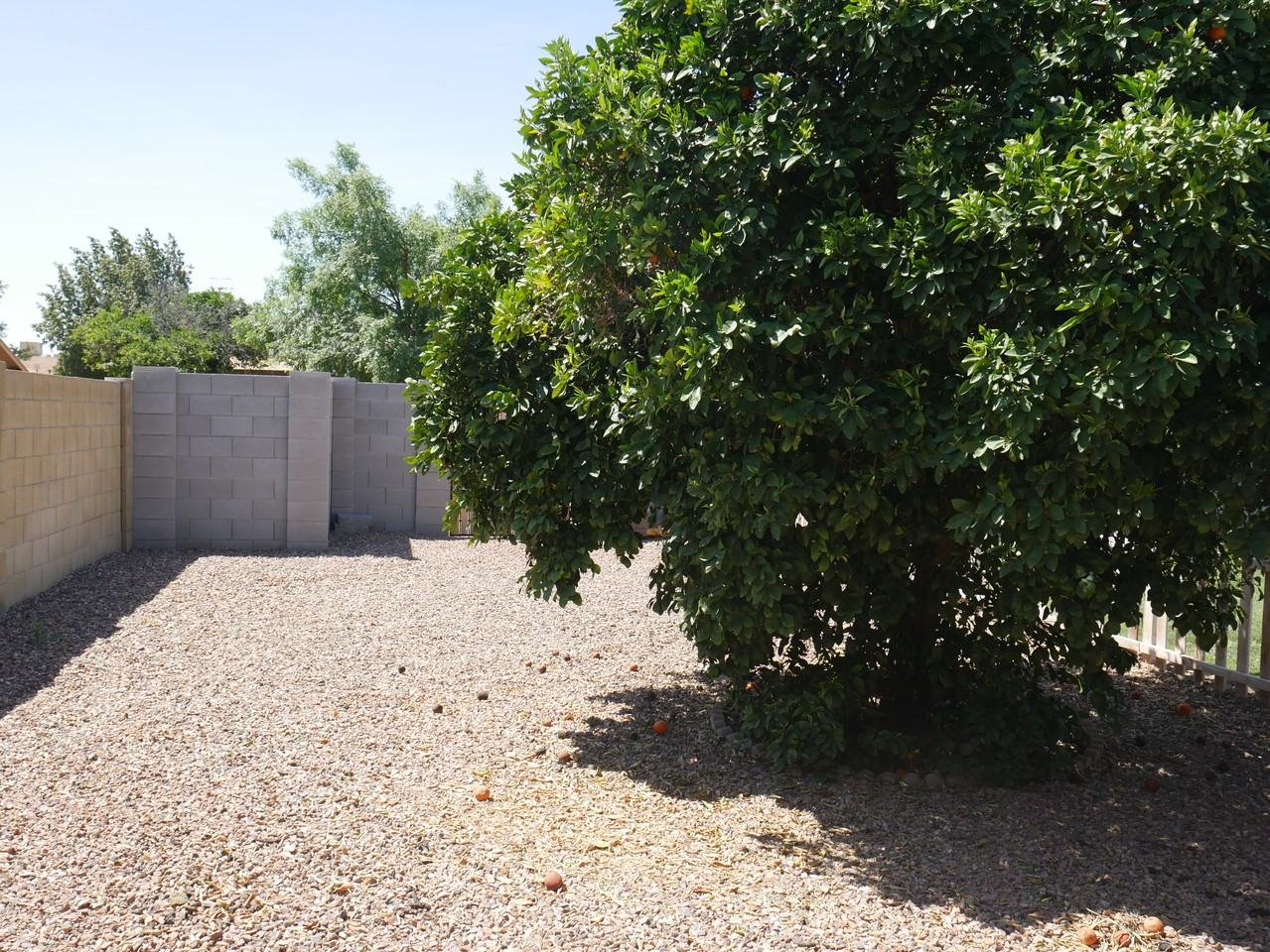 2813 E Cortez St - Photo 2 of 17