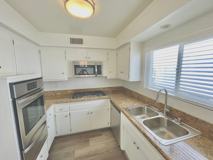 Royal Palm - Photo 1 of 1