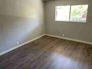 1356 Lincoln Ave #4 - Photo 6 of 18