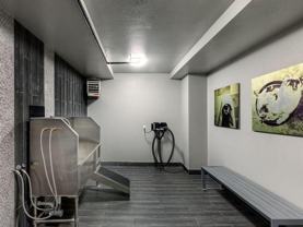 4209 Mckinney Ave - Photo 1 of 1