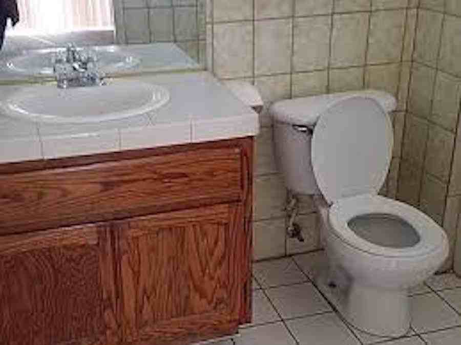 8648 Lupine Loop Dr - Photo 6 of 10