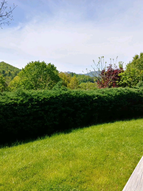 113 Edgemoor St - Photo 3 of 11