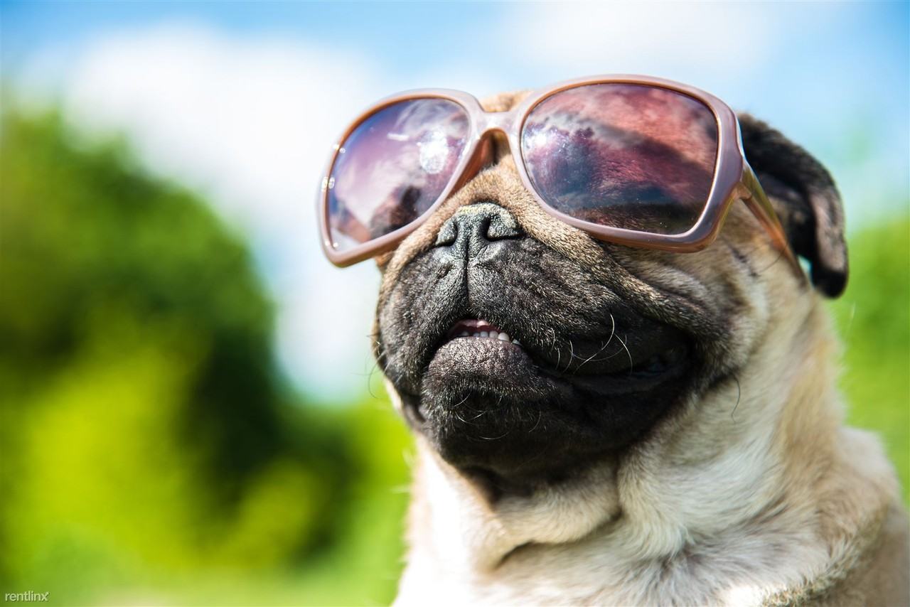 South Crest - Photo 3 of 4