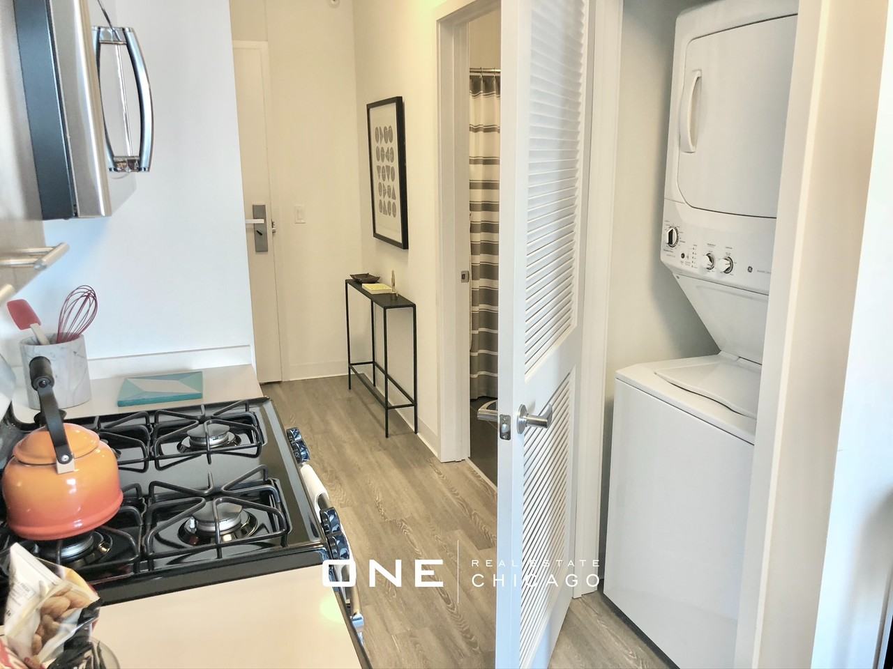 N Wells St #1 - Photo 6 of 15