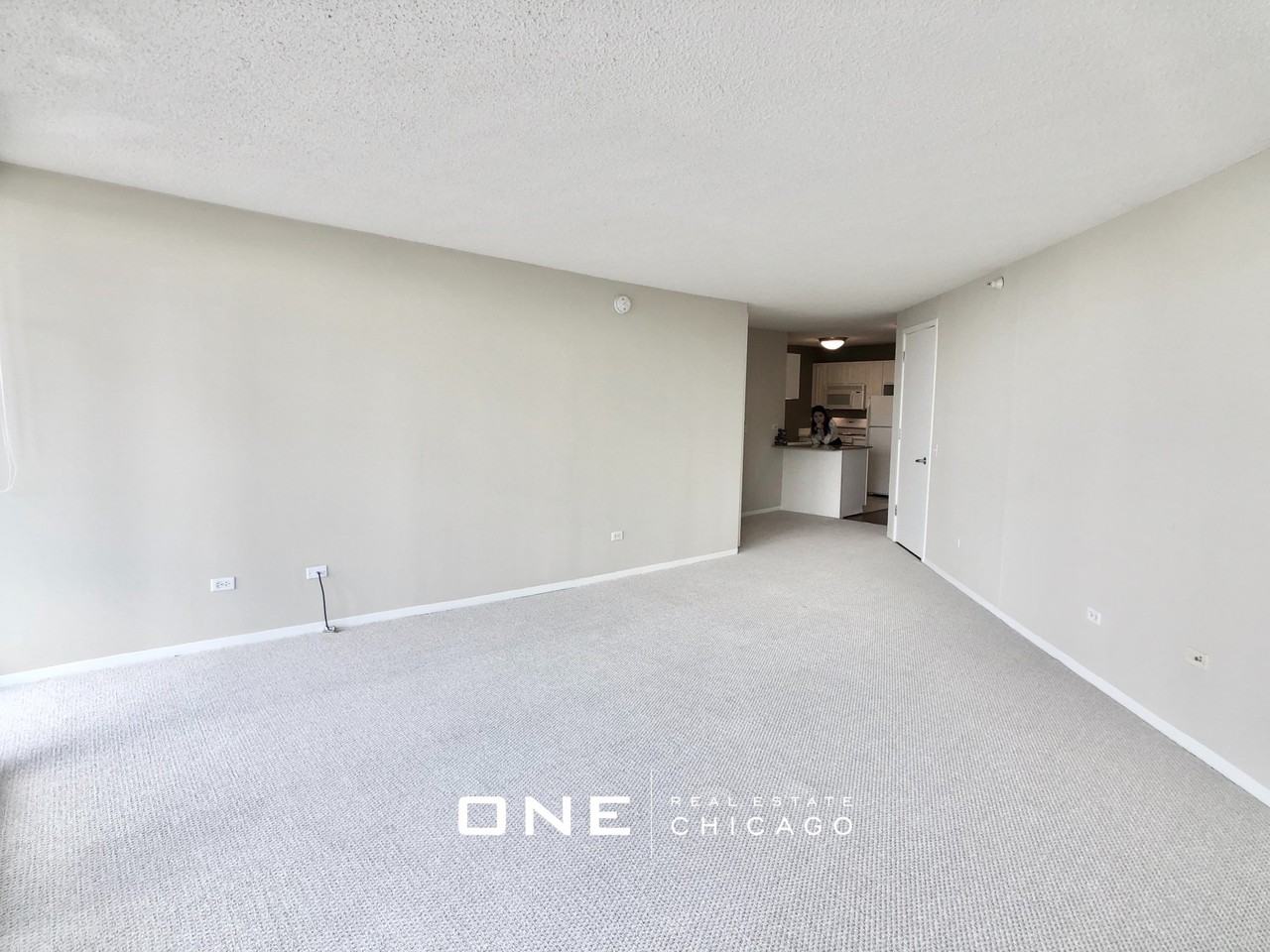 N State St #1 - Photo 4 of 22