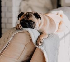 featured image of 1920 Ne 179th St