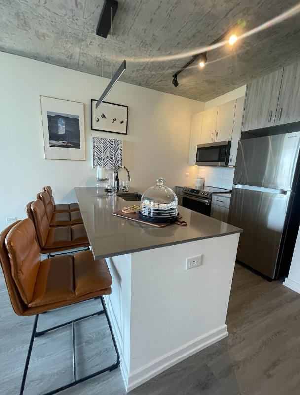 7890 N Kingsbury St #1103 - Photo 2 of 10