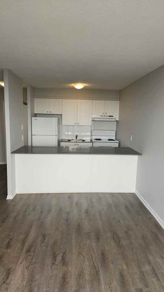 Bronson Place Apartments 440 Gloucester St, Ottawa, ON K1R 7T8 Zumper