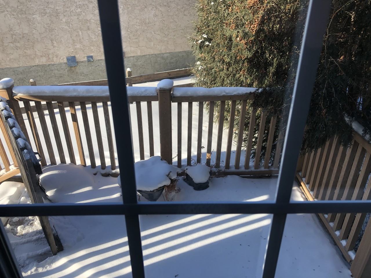 3 Bed 2 Bath Updated Duplex in Gibbons**Fenced Yard**Lots of Storage and Parking - Photo 2 of 50