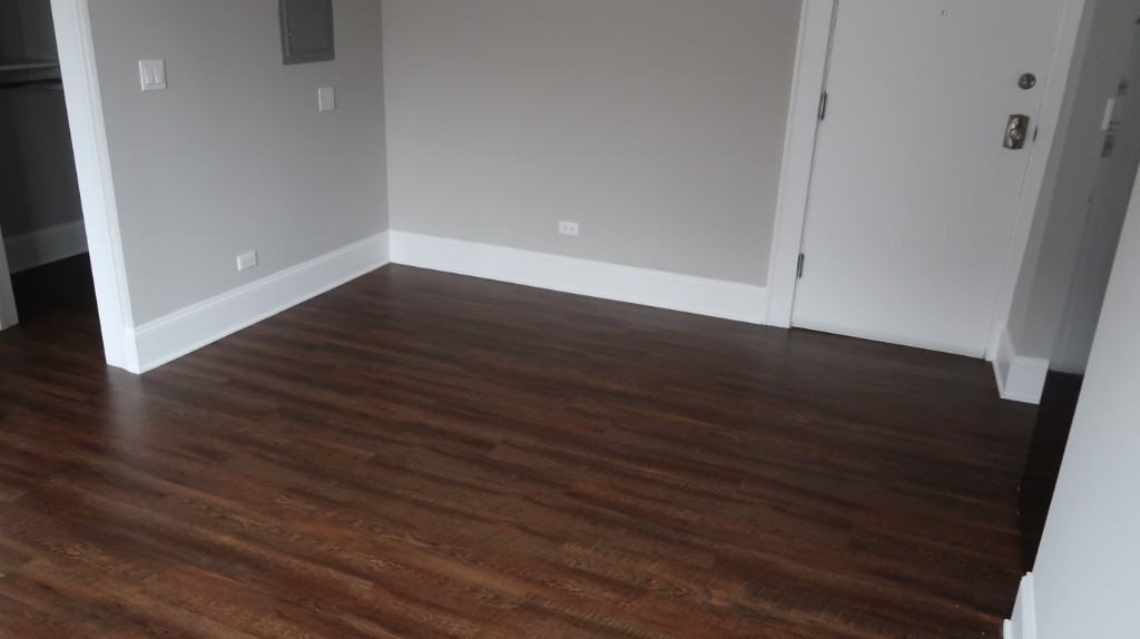 817 W Lakeside Pl #208 - Photo 4 of 18
