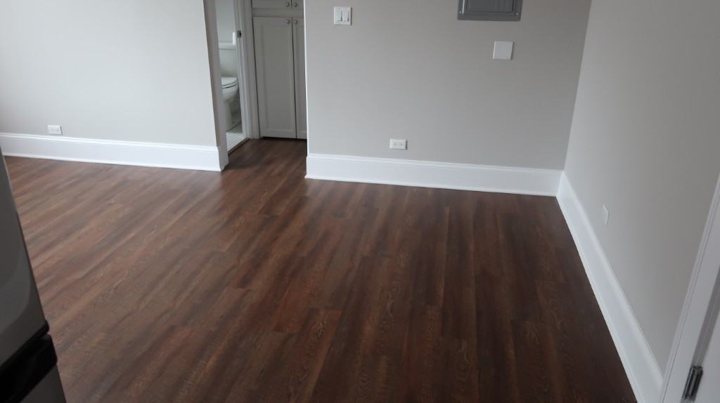 817 W Lakeside Pl #208 - Photo 6 of 18