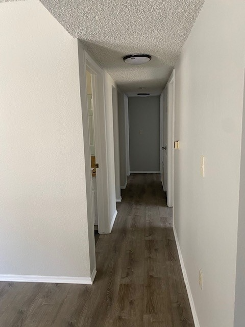 1428 Plaza Del Amo - Photo 4 of 8